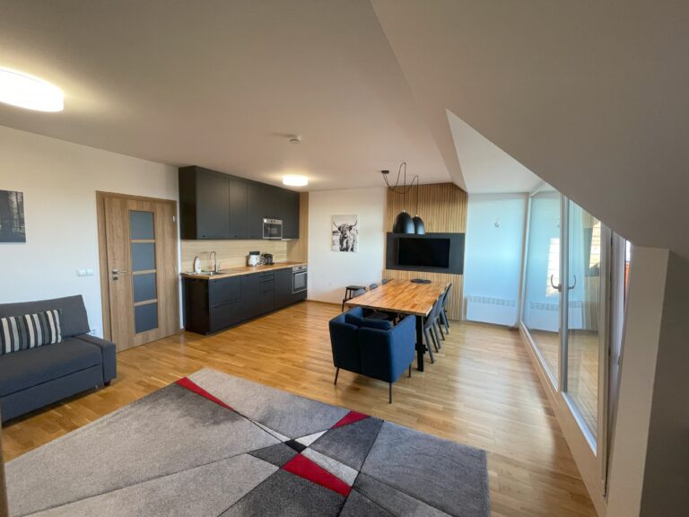 Obývací pokoj s kuchyňským koutem